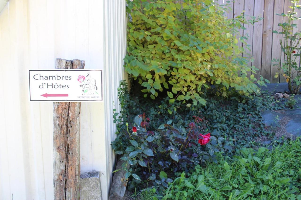 Chambre d'hôte en Vallée du Loir - Elevage des Rosiers Bazouges-sur-le-Loir Exterior foto